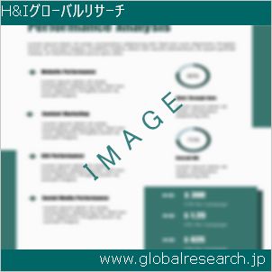 グローバルリサーチ調査レポートのイメージ